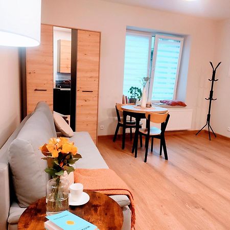 Apartament Plac Kazimierza Wielkiego 5 Tarnow Ngoại thất bức ảnh