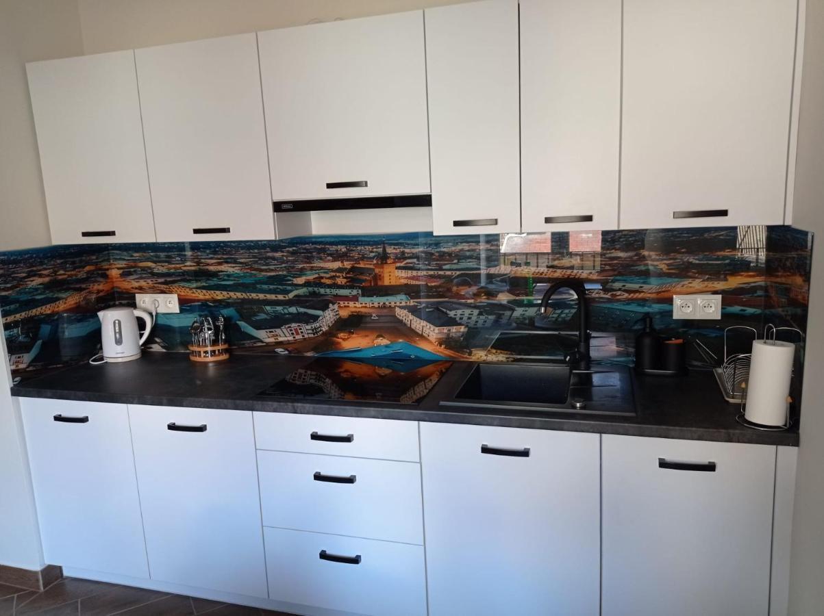 Apartament Plac Kazimierza Wielkiego 5 Tarnow Ngoại thất bức ảnh